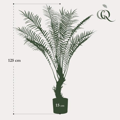 Boomvaren - Kunstplant - ↨125cm