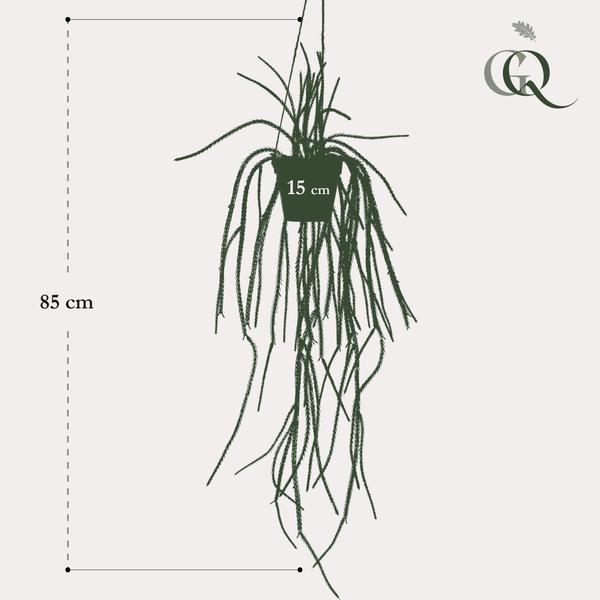 Rhypsalis - Koraalcactus - Kunstplant - ↨85 cm