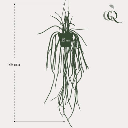 Rhypsalis - Koraalcactus - Kunstplant - ↨85 cm