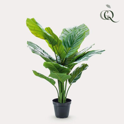 Calathea Orbifolia - Schaduwplant - Kunstplant - ↨60cm