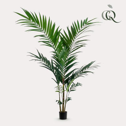 Kentia - Kentiapalm - Kunstplant - ↨150cm