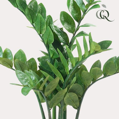 Zamioculcas - Kamerpalm - Kunstplant - ↨70cm