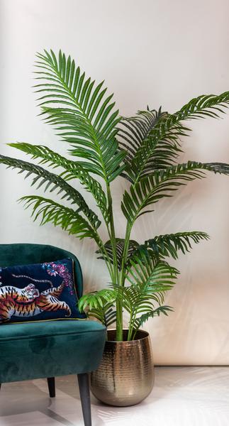 Howea Forsteriana  - Paradijspalm - Kunstplant - ↨160 cm