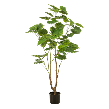 Ficus umbellate - Afrikaanse vijg - Kunstplant - ↨125cm