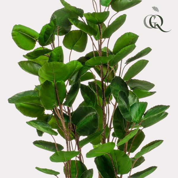 Polyscias - Aralia - Kunstplant - ↨105cm