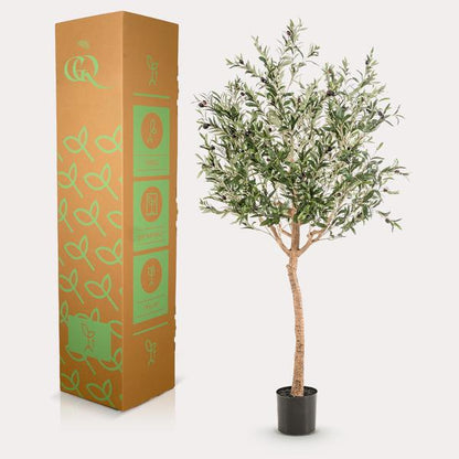 Olijfboom -  Olea europaea - Kunstplant - ↨180cm