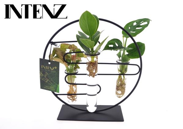 Intenz Mix planten in Dubai 2.0 Glas - ↨25cm - Ø12cm