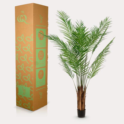 Areca Lutescens - Goudpalm - Kunstplant - ↨180 cm