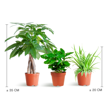Diervriendelijke Plantenbox - Ø12cm