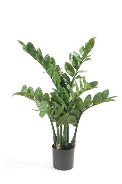Zamioculcas - Kamerpalm - Kunstplant - ↨70cm