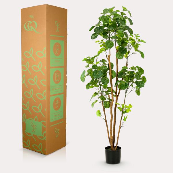Polyscias - Aralia - Kunstplant - ↨160cm