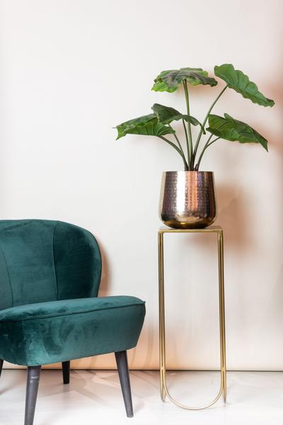 Alocasia - Olifantsoor - Kunstplant - ↨70cm
