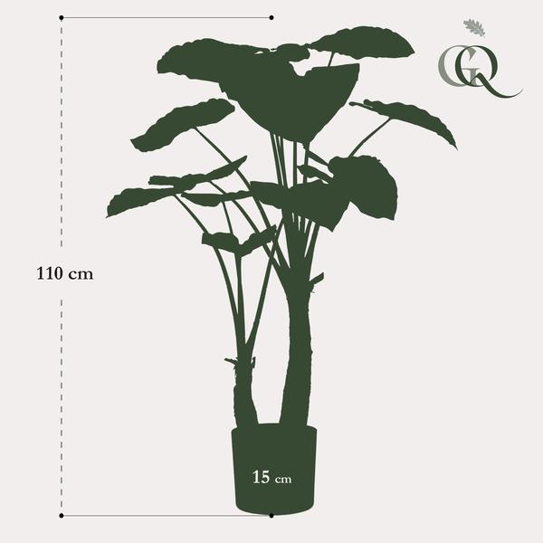 Alocasia - Olifantsoor - Kunstplant - ↨110cm
