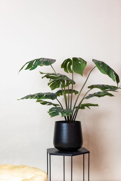 Monstera Deliciosa - kunstplant - ↨95cm