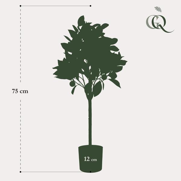Citrus Sinensis - Sinaasappelboom - Kunstplant - ↨75cm