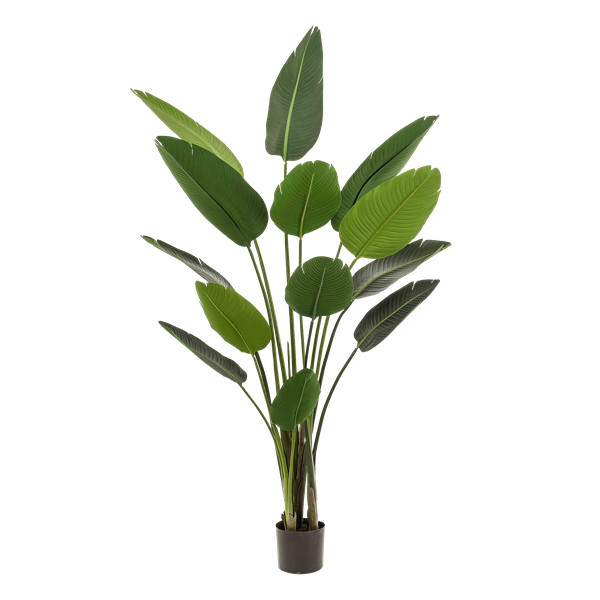 Strelitzia Nicolai - Paradijsvogelbloem - Kunstplant - ↨190 cm