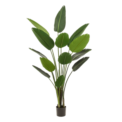 Strelitzia Nicolai - Paradijsvogelbloem - Kunstplant - ↨190 cm