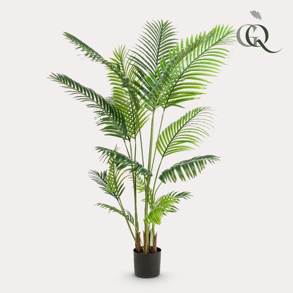 Howea Forsteriana  - Paradijspalm - Kunstplant - ↨160 cm