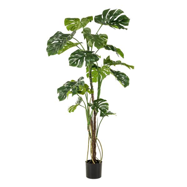 Monstera - Gatenplant - Kunstplant - ↨180cm