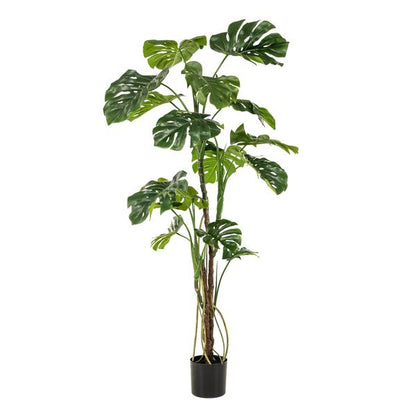 Monstera - Gatenplant - Kunstplant - ↨180cm
