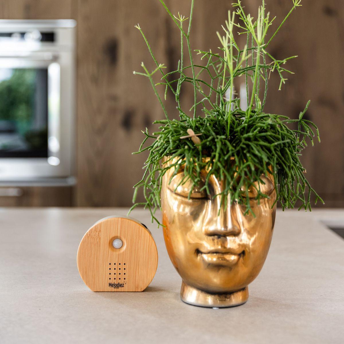 Melodiez® Vogelgeluiden huisje met sensor - Hout