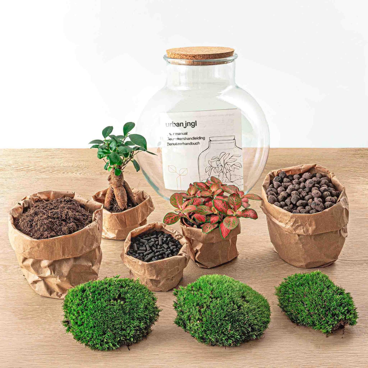 DIY terrarium Teddy bonsai - ↨26,5cm - Ø25cm