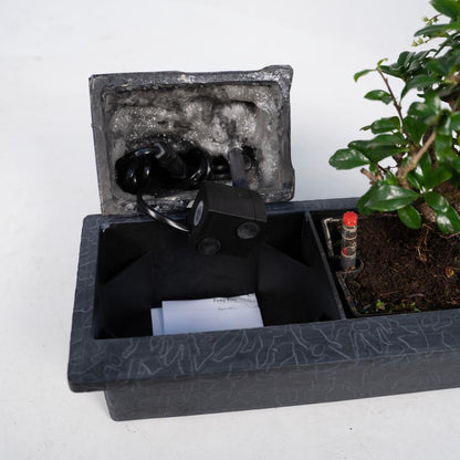 Bonsai waterval met boeddha - ↨25cm