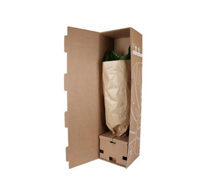 Monstera Deliciosa mosstok - met Albury natural mand - ↨150cm - Ø27cm