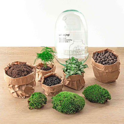 DIY terrarium Egg XL - ↨30cm - Ø17cm