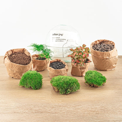 DIY terrarium Dome Red - ↨20cm - Ø20cm