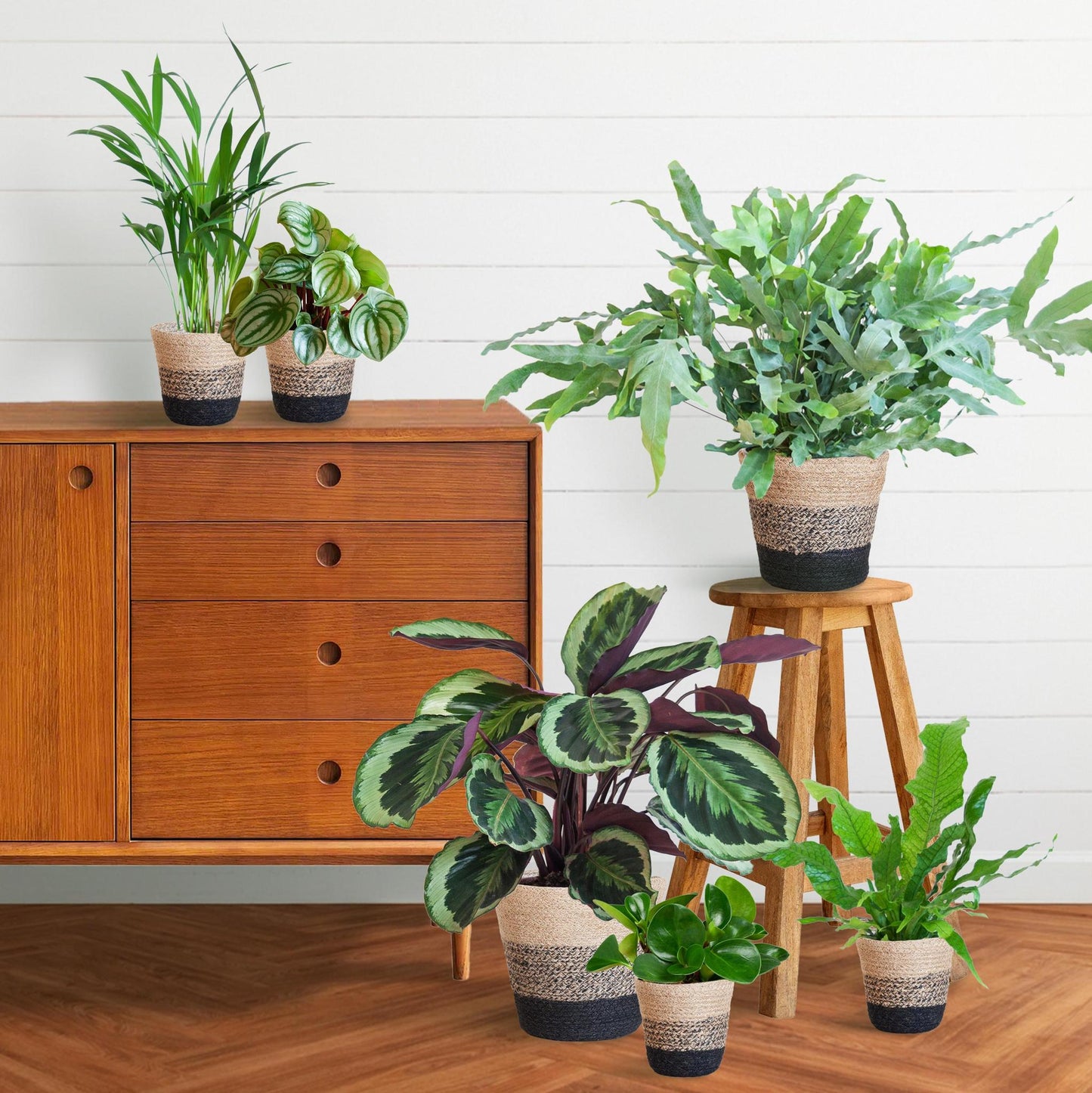 Diervriendelijke plantenbox Large - incl. mand Lissabon