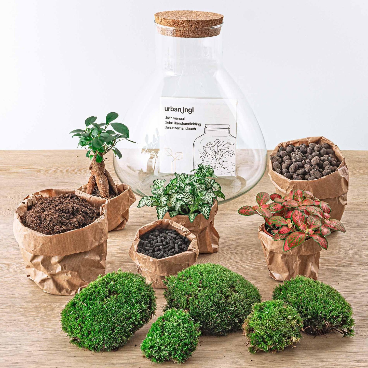DIY terrarium Sam XL Bonsai - ↨35cm - Ø30cm