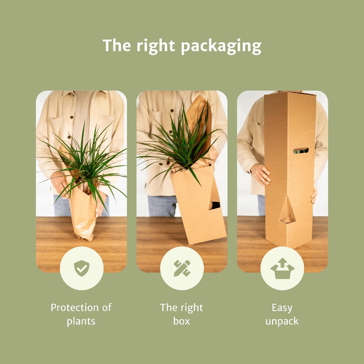 Diervriendelijke plantenbox - 4 stuks - ↨20-40cm - Ø12cm