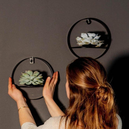 Succulent Echeveria Lilacina op Muurdeco standaard zwart - ↨20cm - Ø20cm