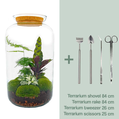 DIY terrarium Botanical Sven XL - ↨43cm - Ø23cm