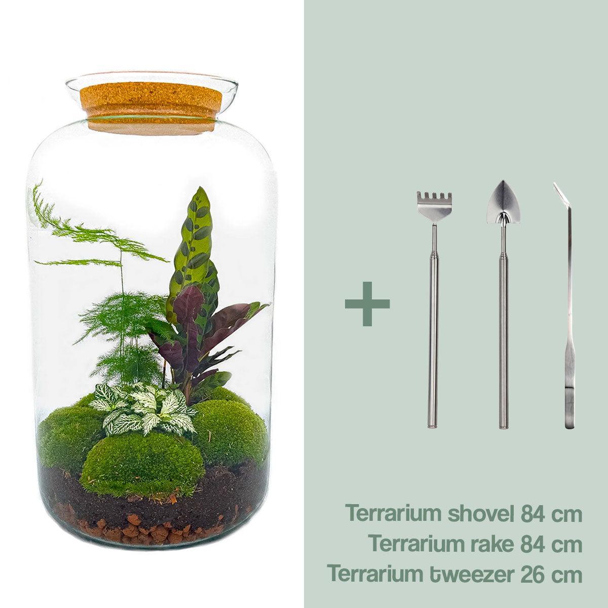 DIY terrarium Botanical Sven XL - ↨43cm - Ø23cm