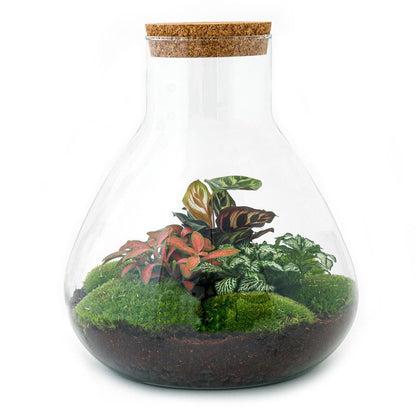 DIY terrarium Sam XL Rood - ↨35cm - Ø30cm