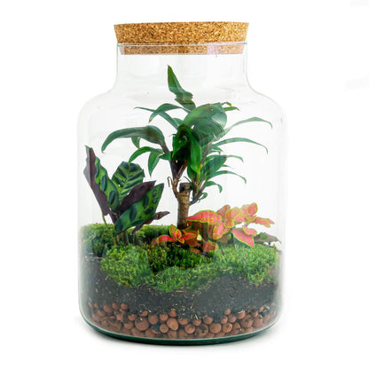 DIY terrarium Milky Palm - ↨30cm - Ø21cm