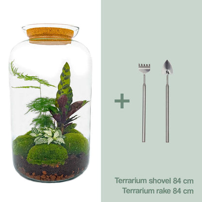 DIY terrarium Botanical Sven XL - ↨43cm - Ø23cm