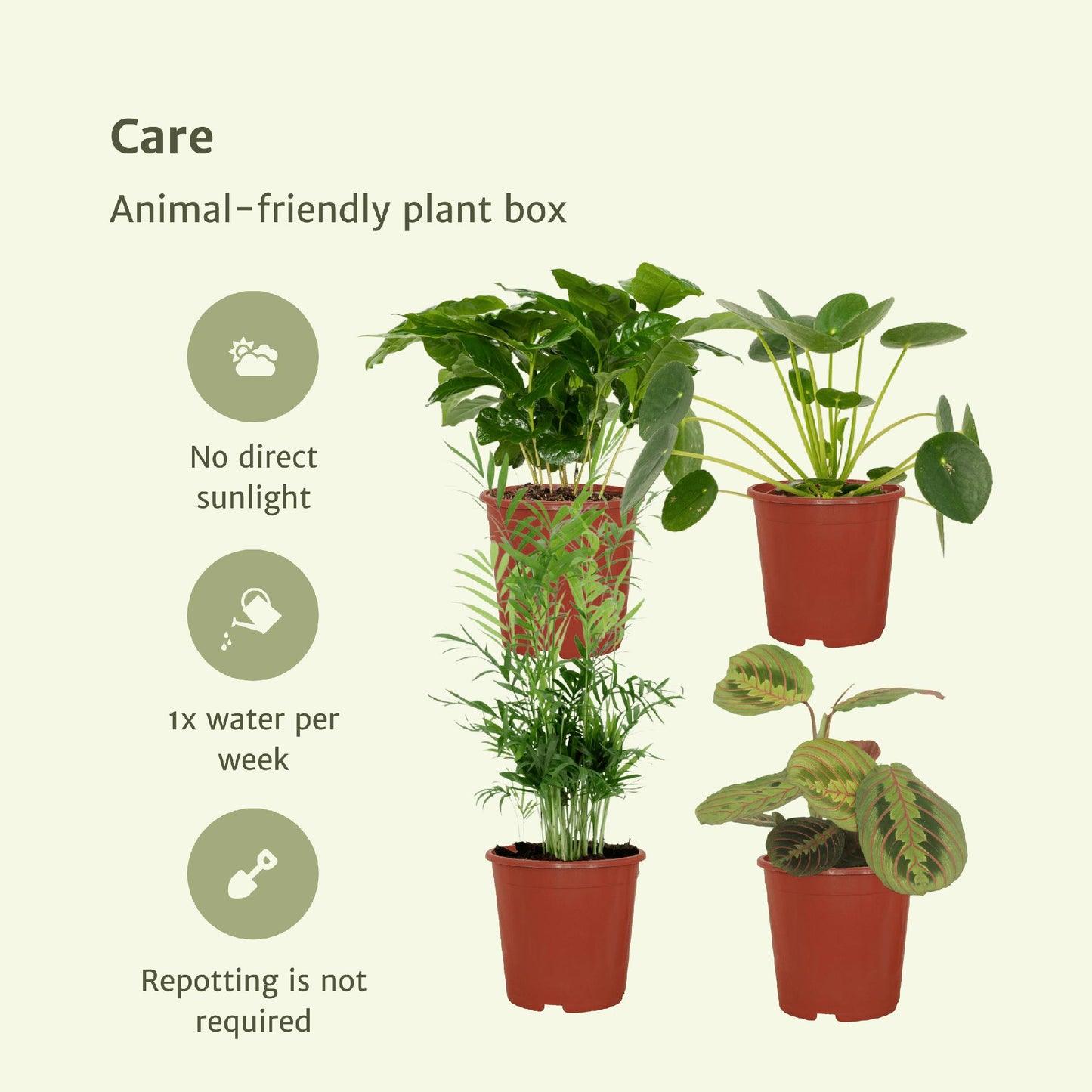 Diervriendelijke plantenbox - 4 stuks - ↨20-40cm - Ø12cm