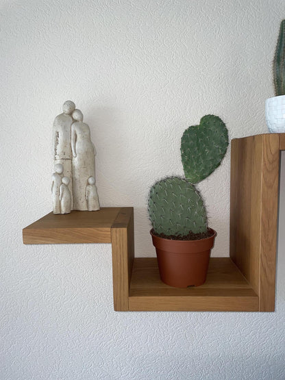 Cactus - Opuntia Vijgcactus - ↨30-40cm - Ø17cm