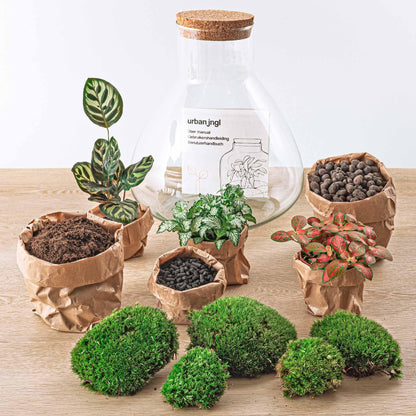 DIY terrarium Sam XL Rood - ↨35cm - Ø30cm