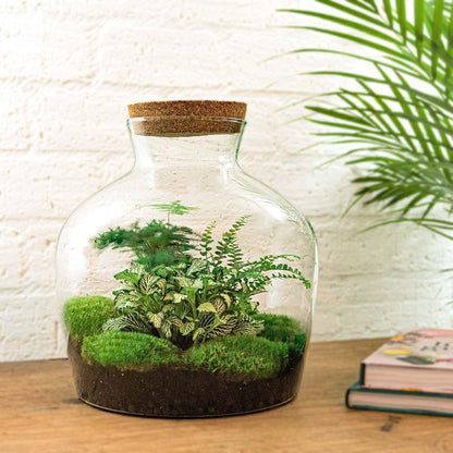 DIY terrarium Fat Joe Groen - ↨30cm - Ø29cm