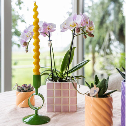 Roze phalaenopsis orchidee Portugal + Mosa sierpot roze - Ø9cm