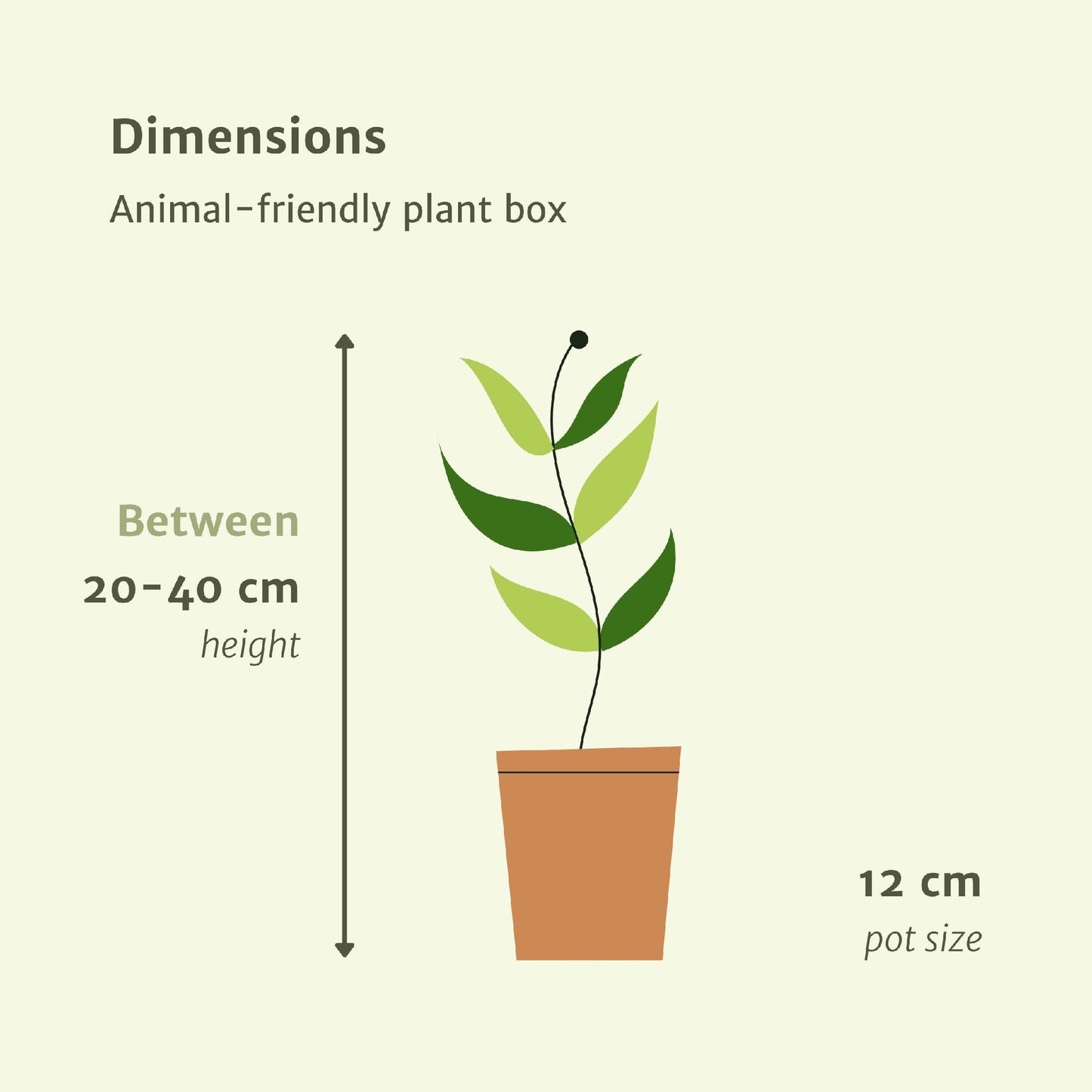 Diervriendelijke plantenbox - 4 stuks - ↨20-40cm - Ø12cm